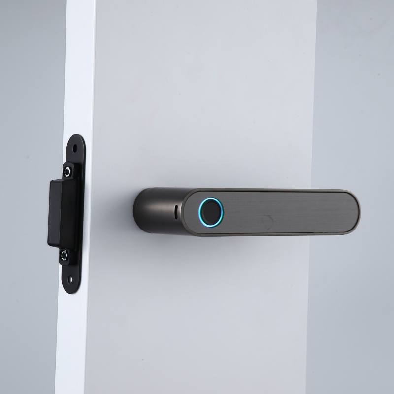 Fingerprint Access Bluetooth Remote Control Smart Handle Door Lock for Hotel