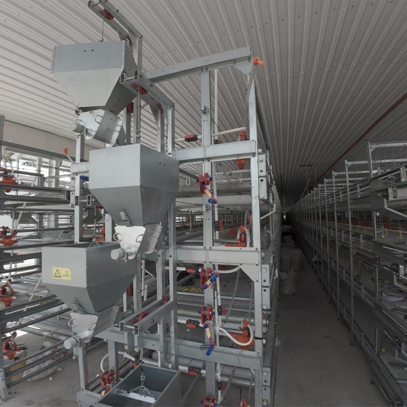 Poultry Farm Equipment Energy Efficient Chicken Coop Broiler Cage Raising System