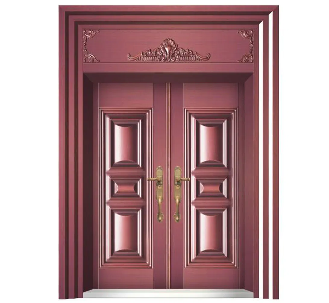 Contemporary Zinc Alloy Double Door for Home Entrance Modern Architectural Style