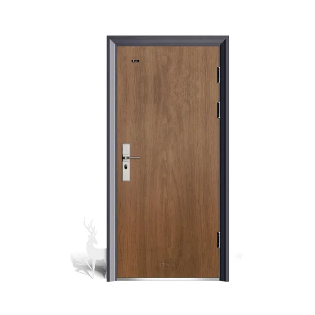 Modern Steel Door