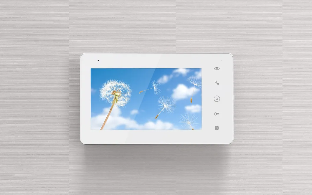 Video Door Phone Detail