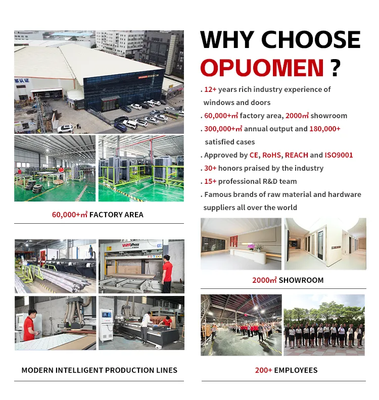 Aluminum Entrance Doors