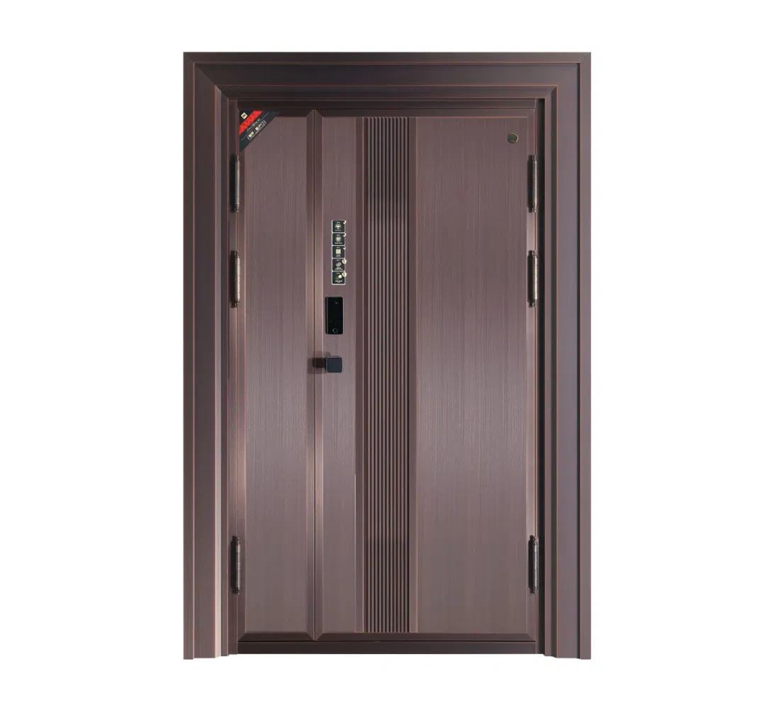 Modern Zinc Alloy Double Door for Building Entrance Architectural Design