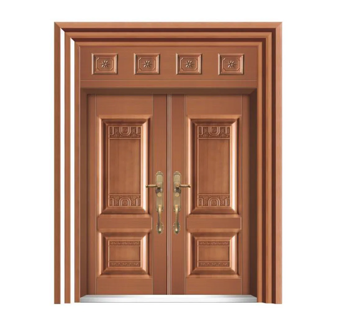 Contemporary Zinc Alloy Double Door for Home Entrance Modern Architectural Style