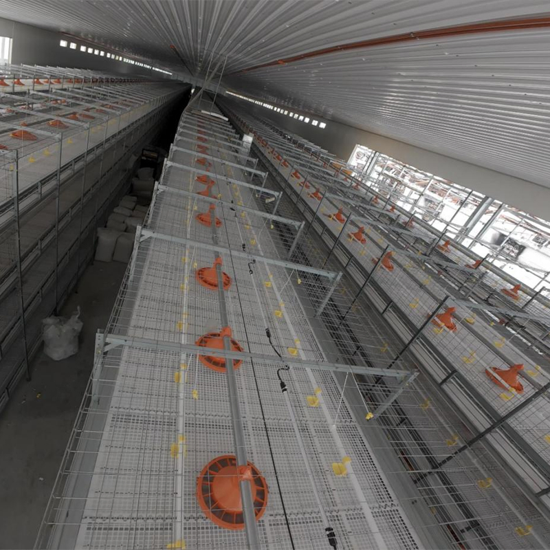 Poultry Farm Equipment Energy Efficient Chicken Coop Broiler Cage Raising System