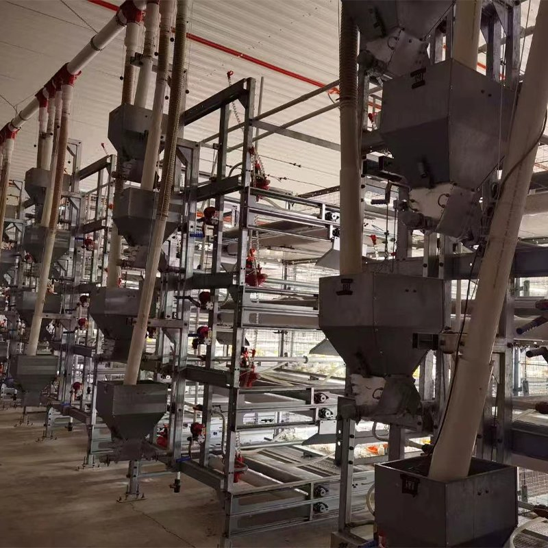 Poultry Farm Equipment Energy Efficient Chicken Coop Broiler Cage Raising System