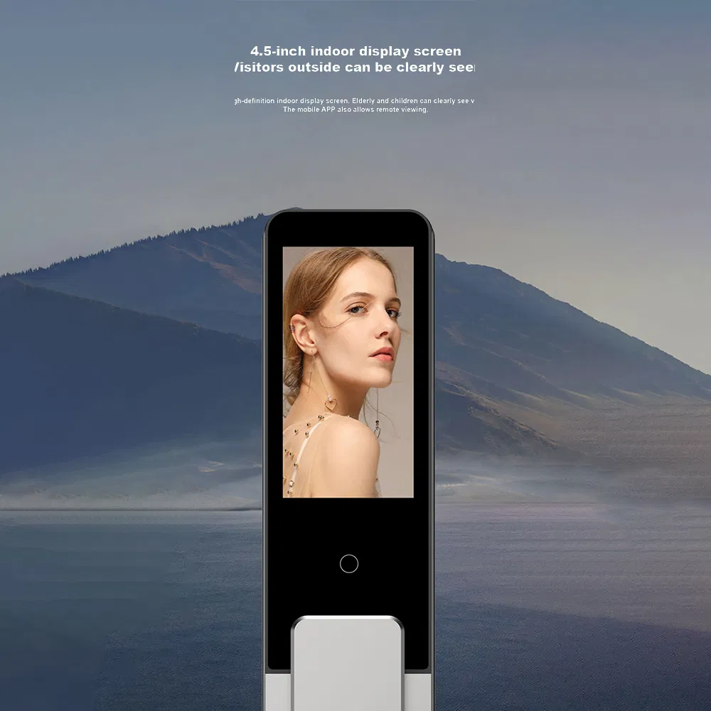 Smart Access Security System 6