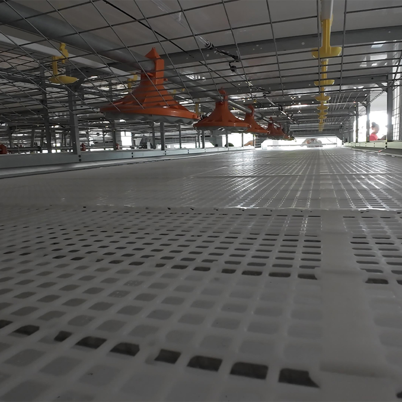 Poultry Farm Equipment Energy Efficient Chicken Coop Broiler Cage Raising System