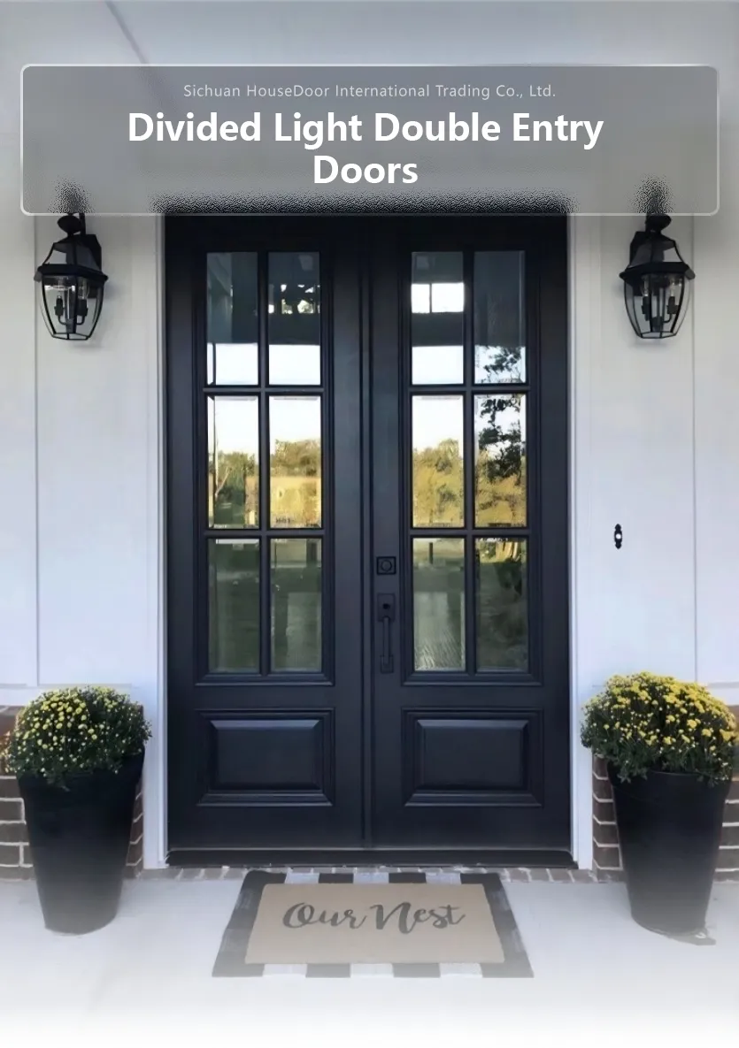 Modern Metal Door