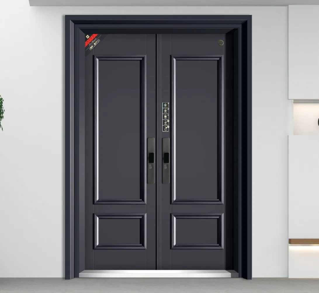 Modern Architectural Zinc Alloy Double Door for Exterior Entrance
