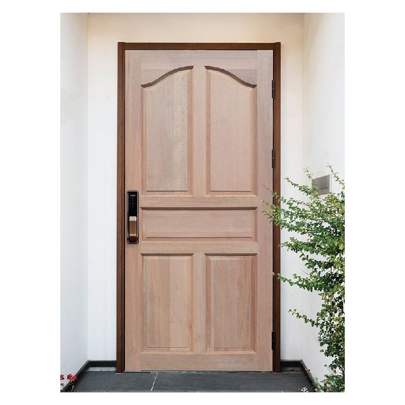 Ace Customized Personalized Wooden Door Elegant Modern Design Household and Commercial