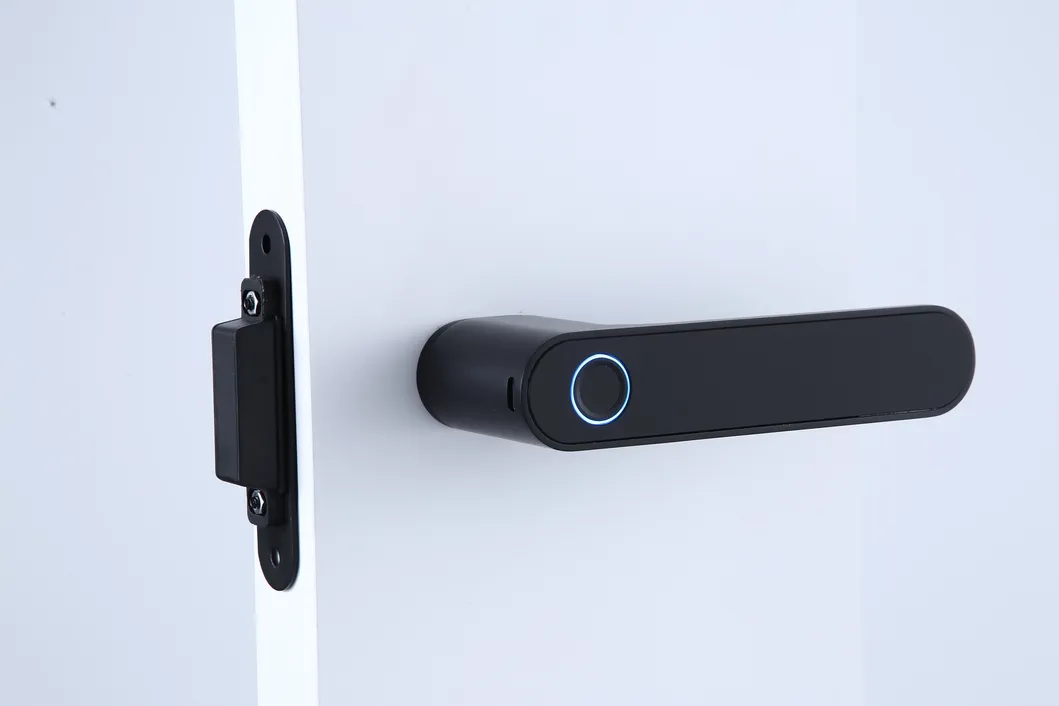 Smart Lock Detail 1