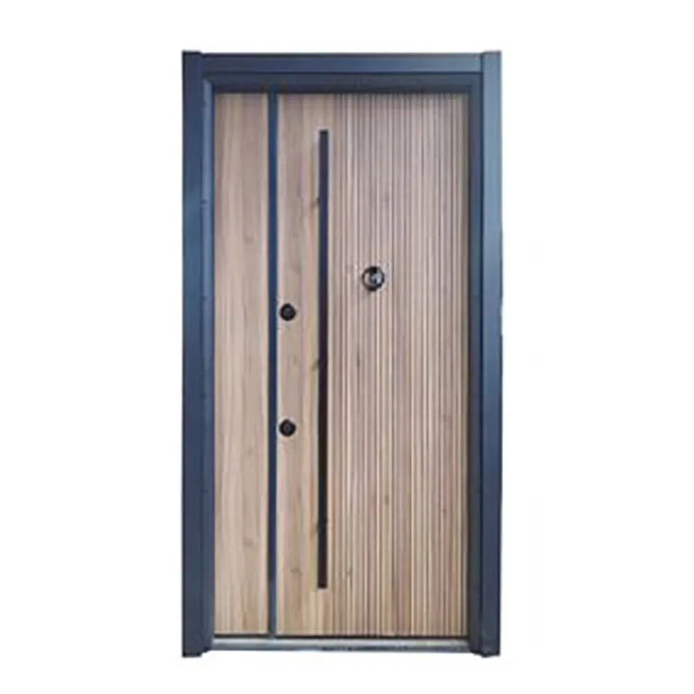 Firm Weather Resistant Custom Exterior Door for Commercial Complexes