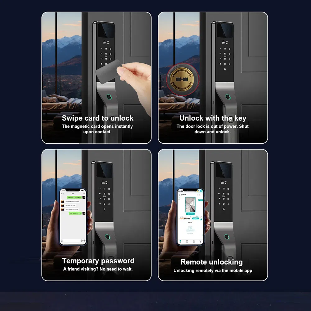 Biometric Authentication