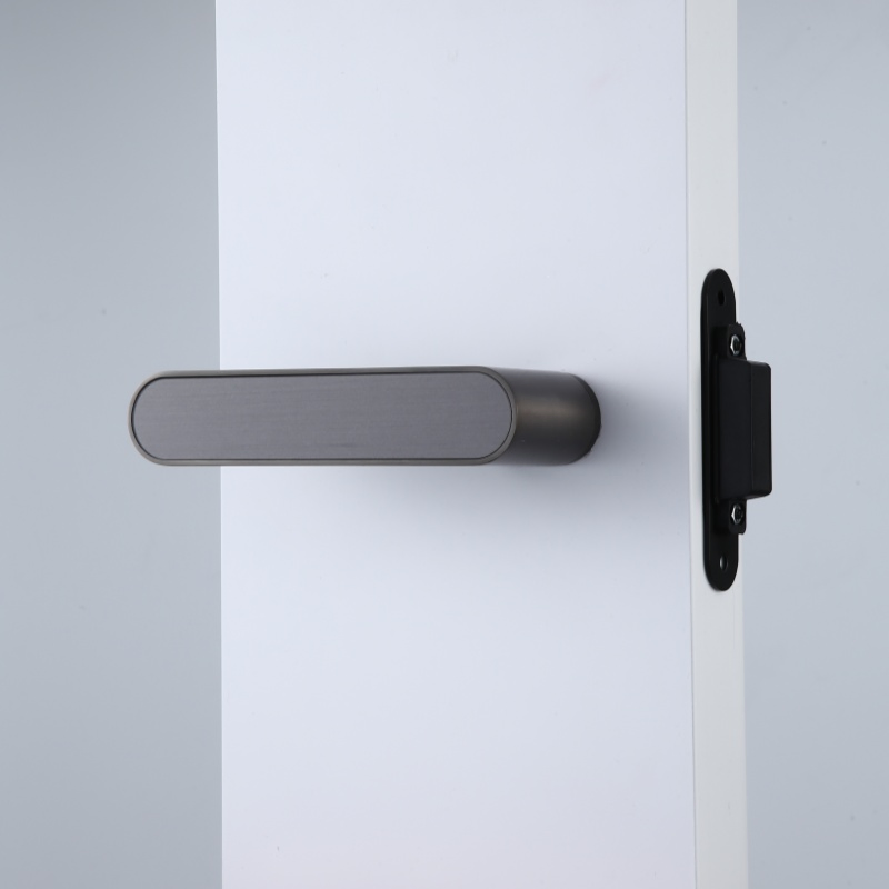 Fingerprint Access Bluetooth Remote Control Smart Handle Door Lock for Hotel