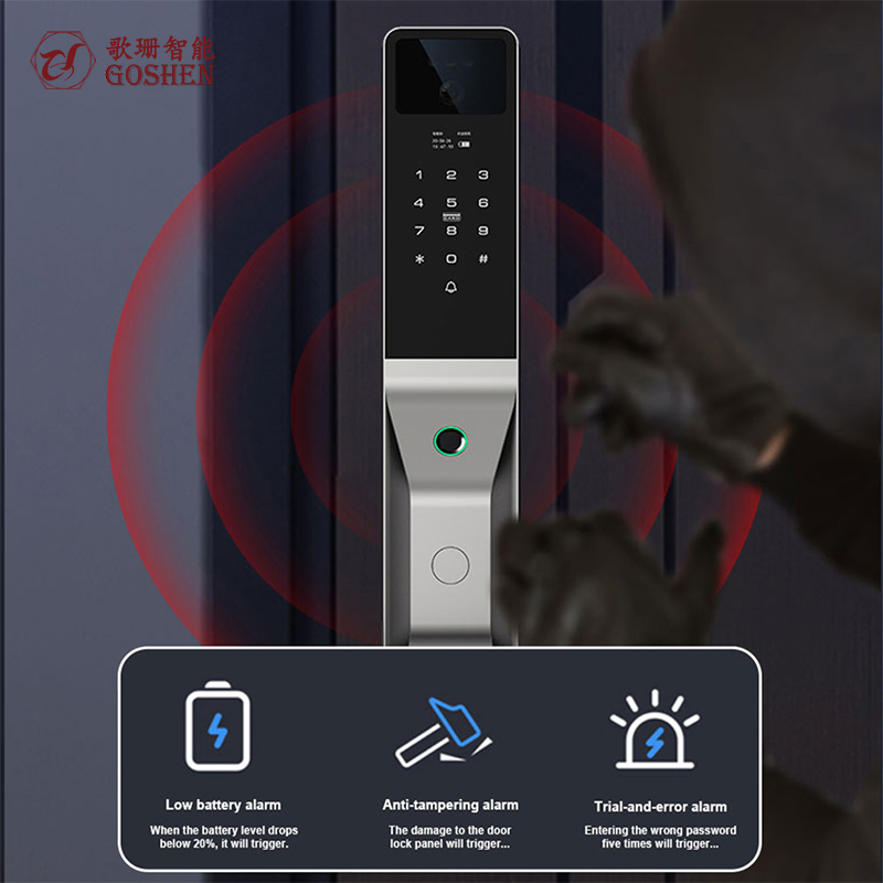 Smart WiFi Biometric Lock with Multiple Access Options Smart Lock