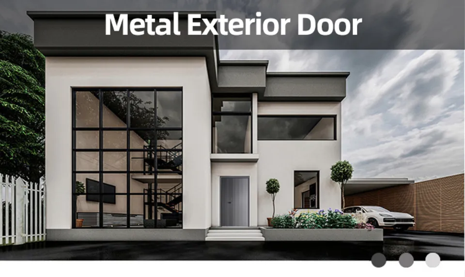 Modern Steel Security Entry Door