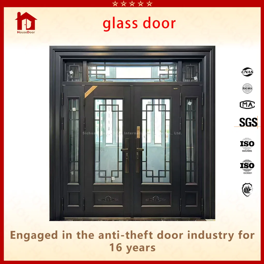 Modern Architectural Glass Door for Residential Entrance with Durable Steel Construction