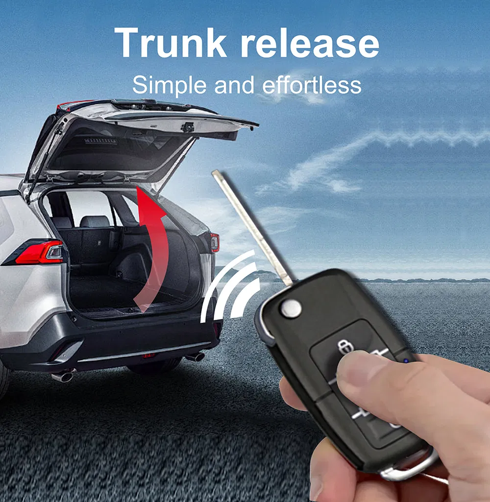 Car Security System 1