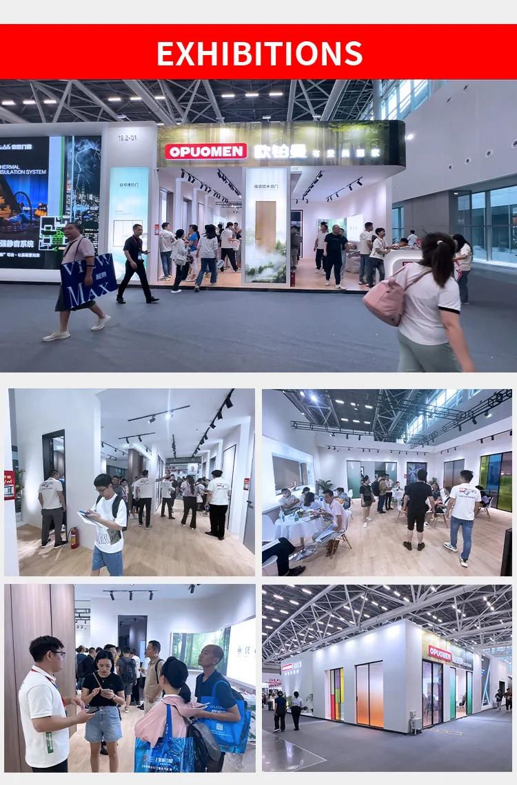 Aluminum Entrance Doors