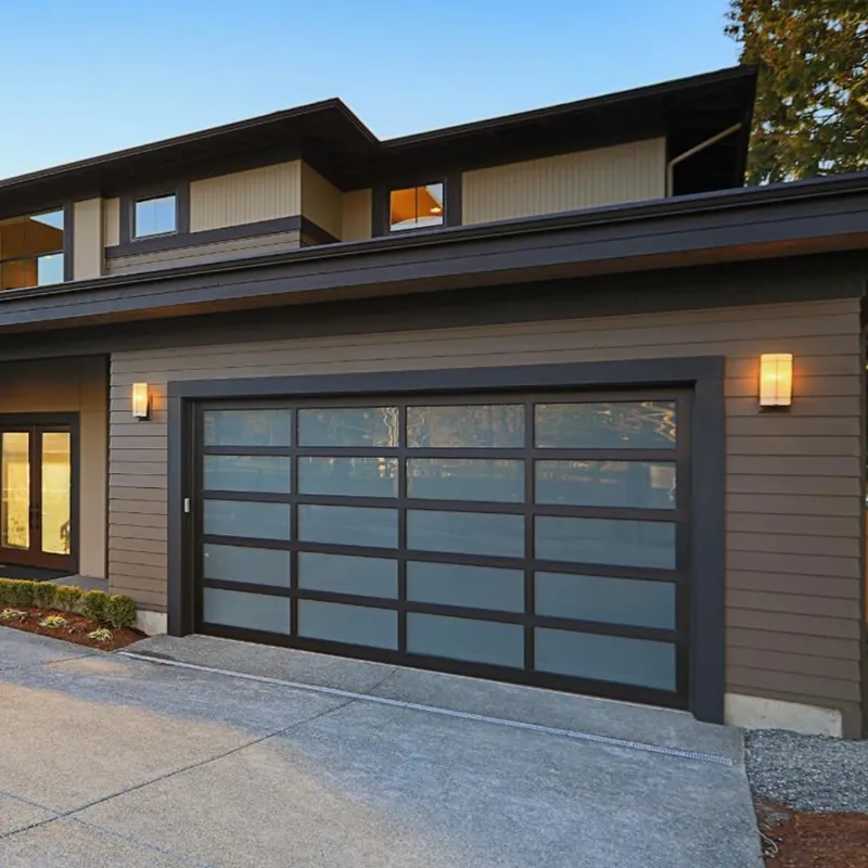 Glass Garage Door View 1