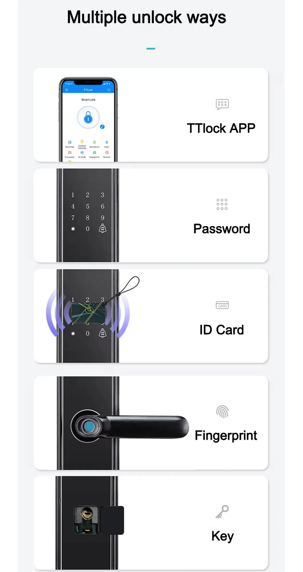 Dimensions and Detail