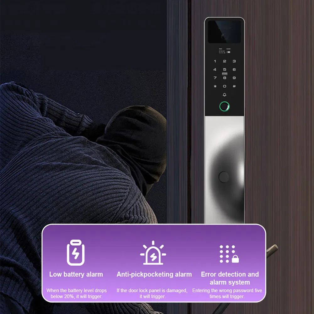 Smart Access Security System 3