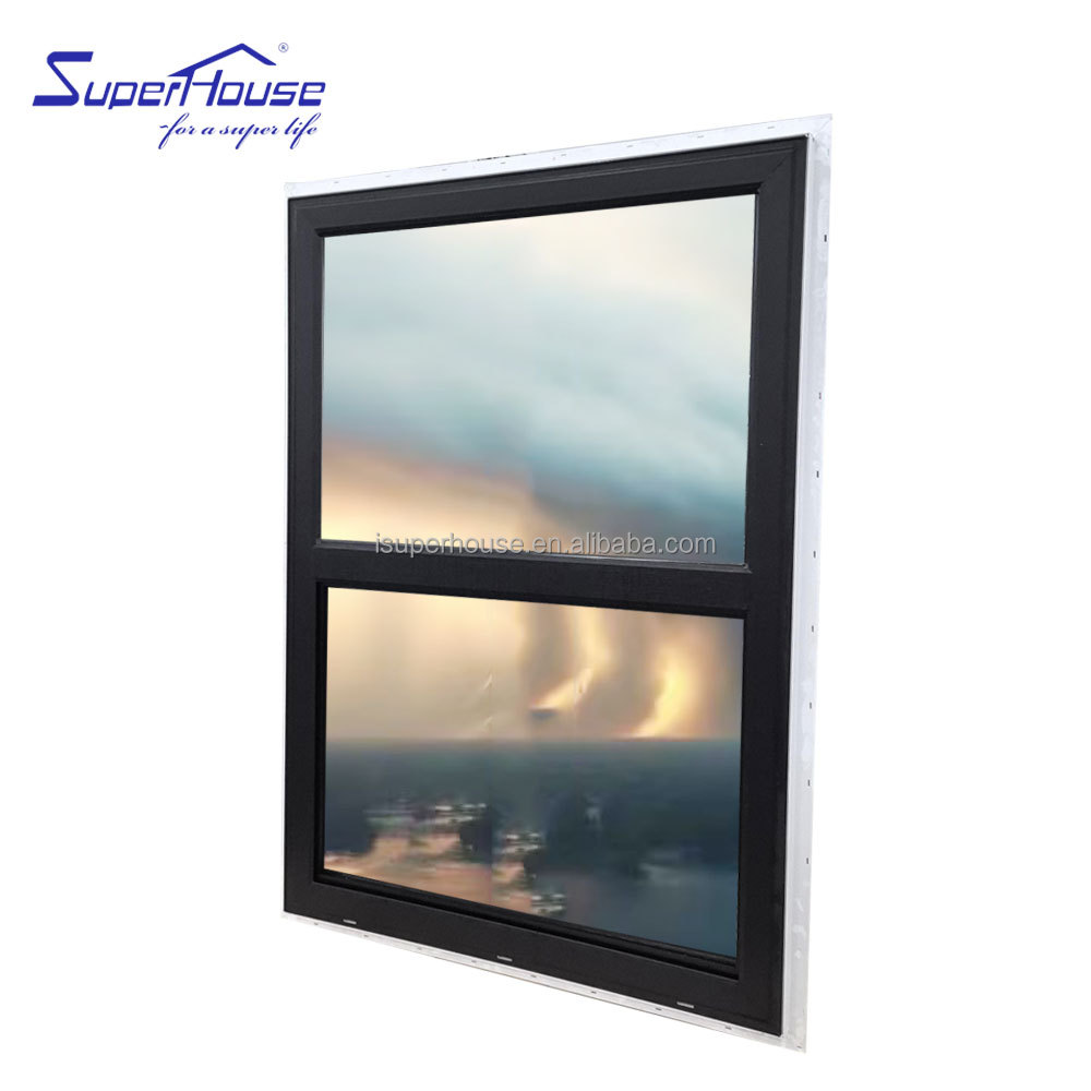 Aluminum Hung Windows Modern Vertical Sliding Design for Villa With Flyscreen