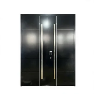 Smart Exterior Entry Door with Fingerprint, Password, Remote Control & APP Intelligent Access System