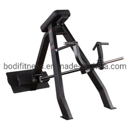 Gym Equipment 1