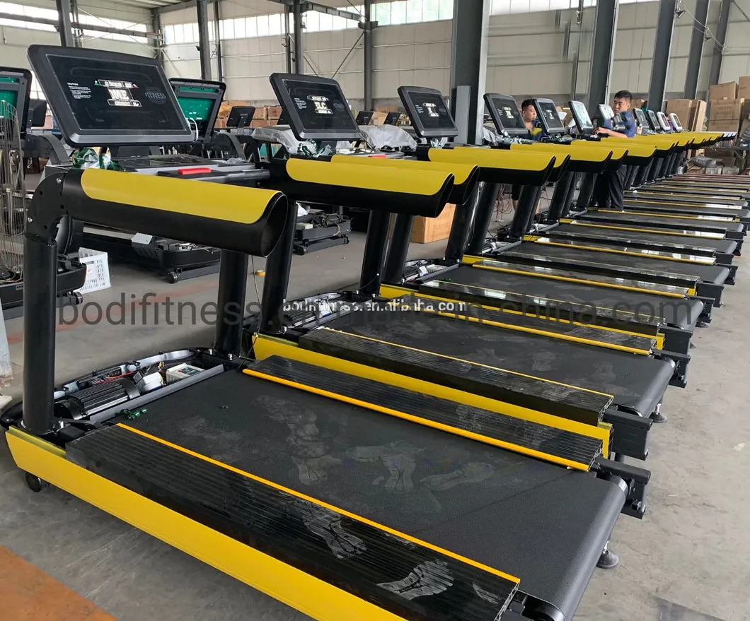 Professional Fitness Equipment