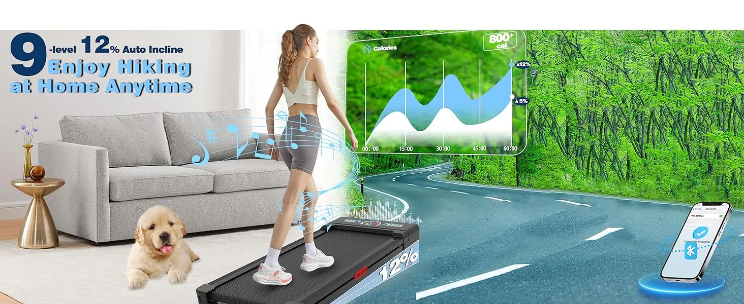 Walking Pad Treadmill Banner