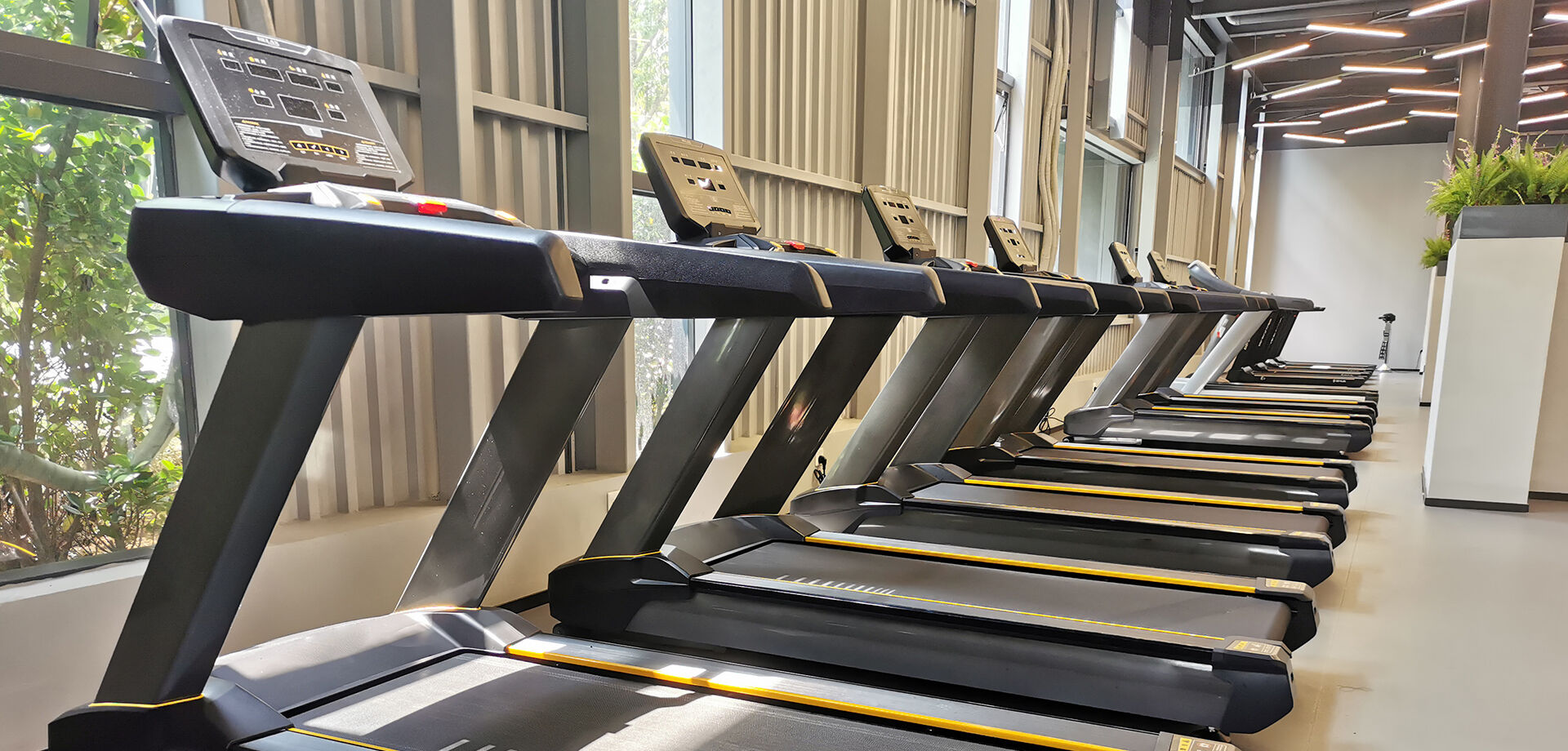 StepUp Treadmill Factory and Fitness Equipment Showroom