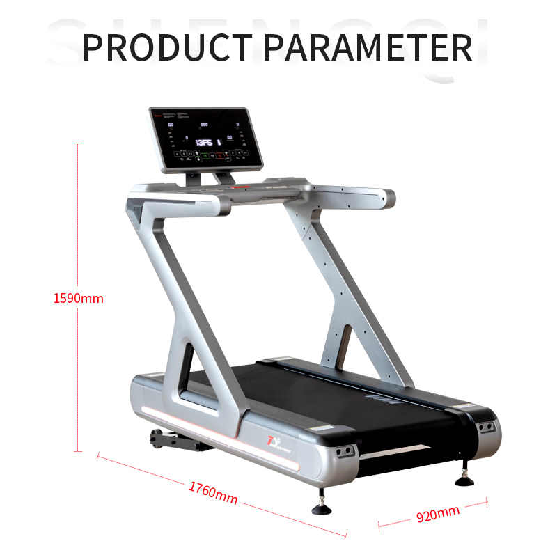 Commercial Motorized Treadmill Silent Motor High Weight Capacity Gym Fitness Treadmill