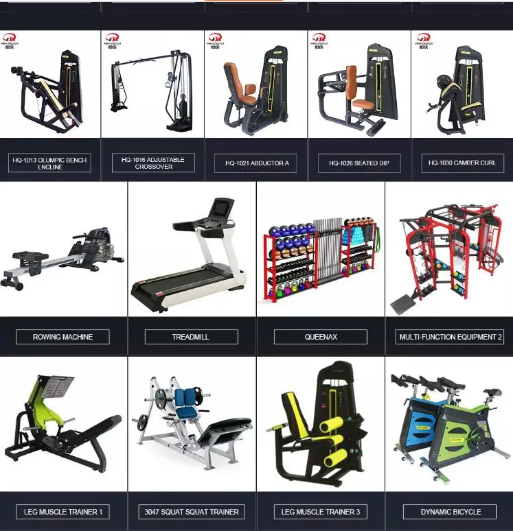 Related Fitness Equipment