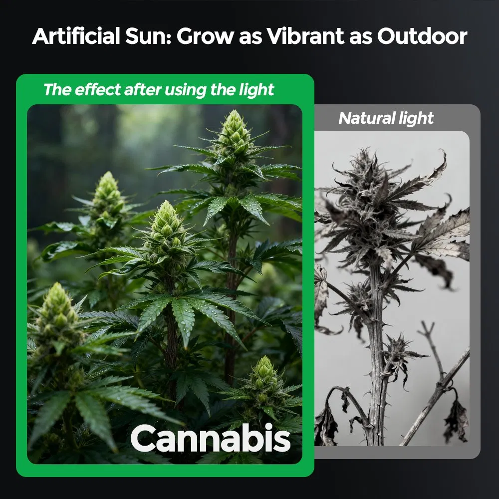 Industrial Commercial Cultivation Full Spectrum LED Grow Light for Greenhouse Lighting