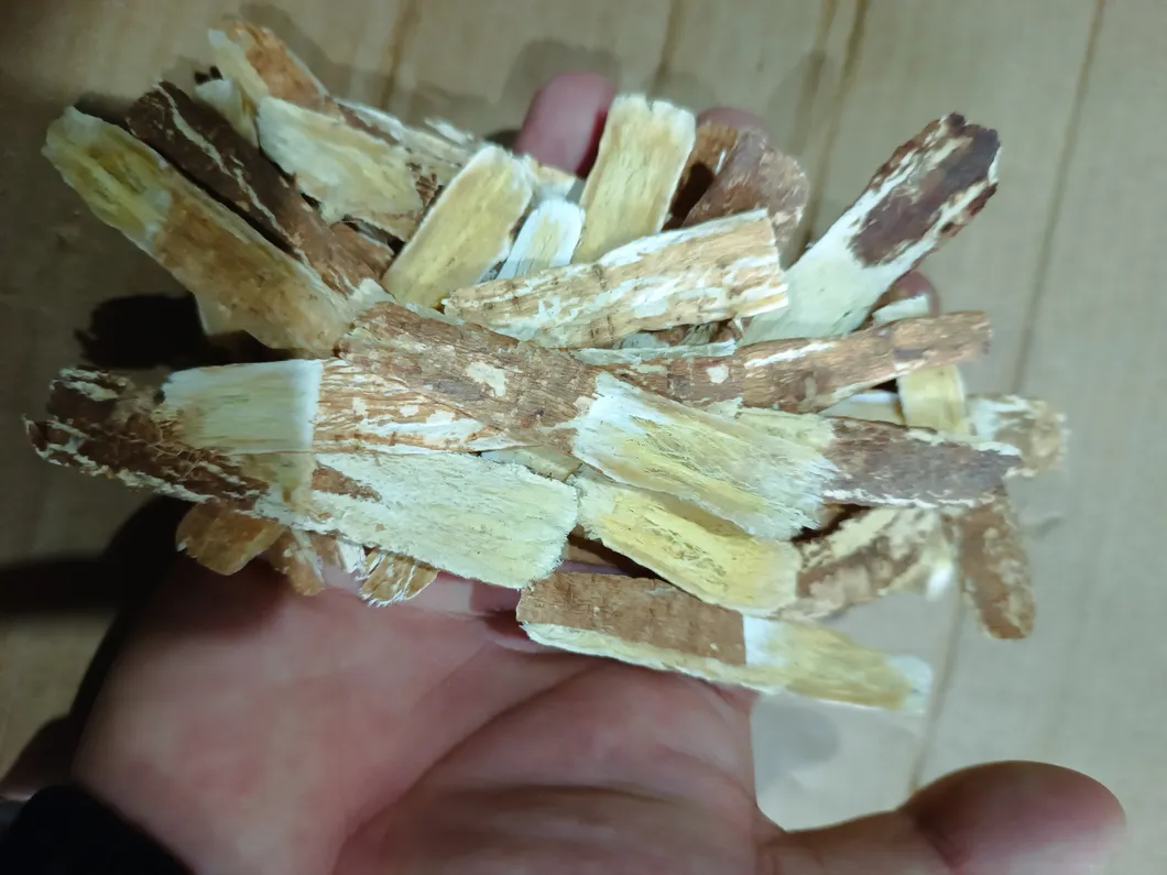 Astragalus Slices