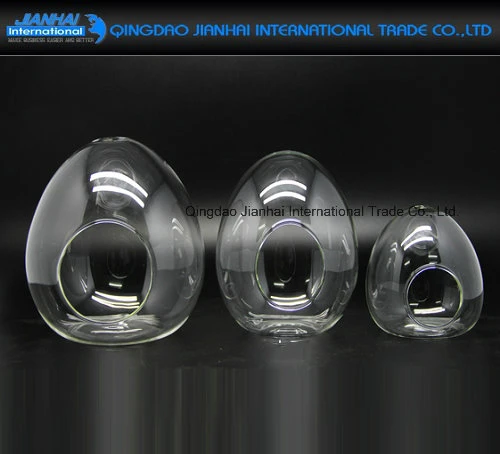 Fairy Garden Decor Egg Shaped Clear Glass Vase Terrariums