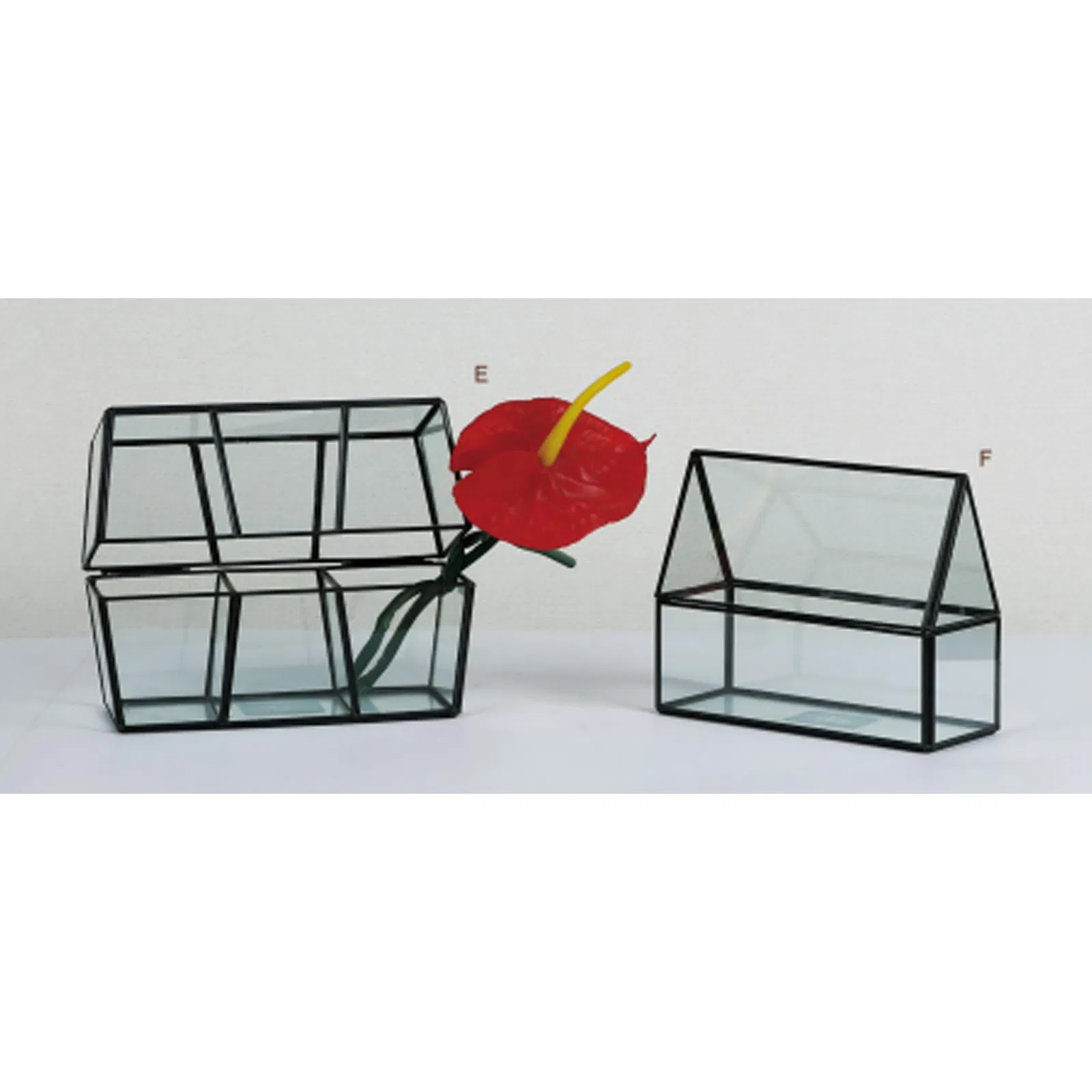 Artistic Indoor Clear Glass Plant Terrarium for Home Decor