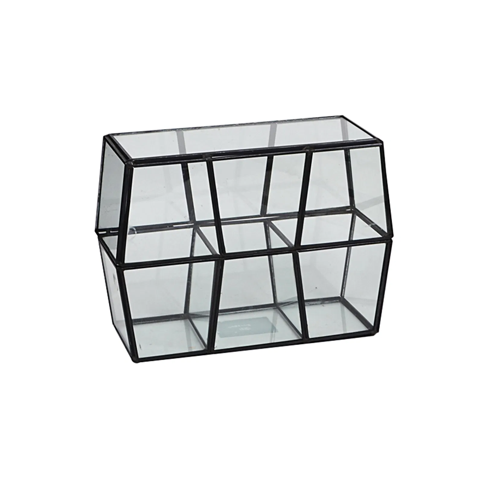 Artistic Indoor Clear Glass Plant Terrarium for Home Decor