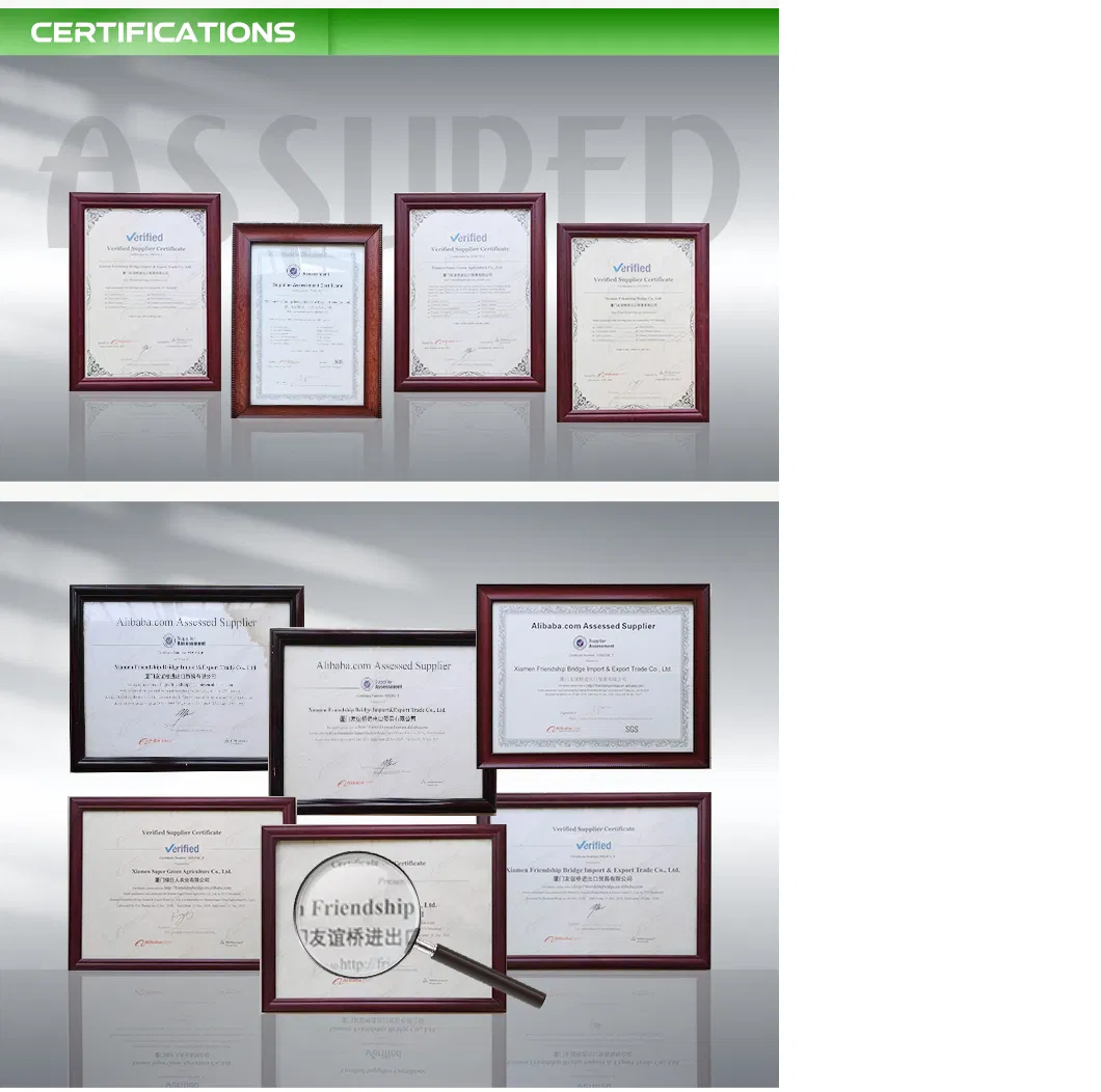 Certification Documents
