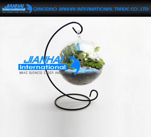 Transparent Glass Vase