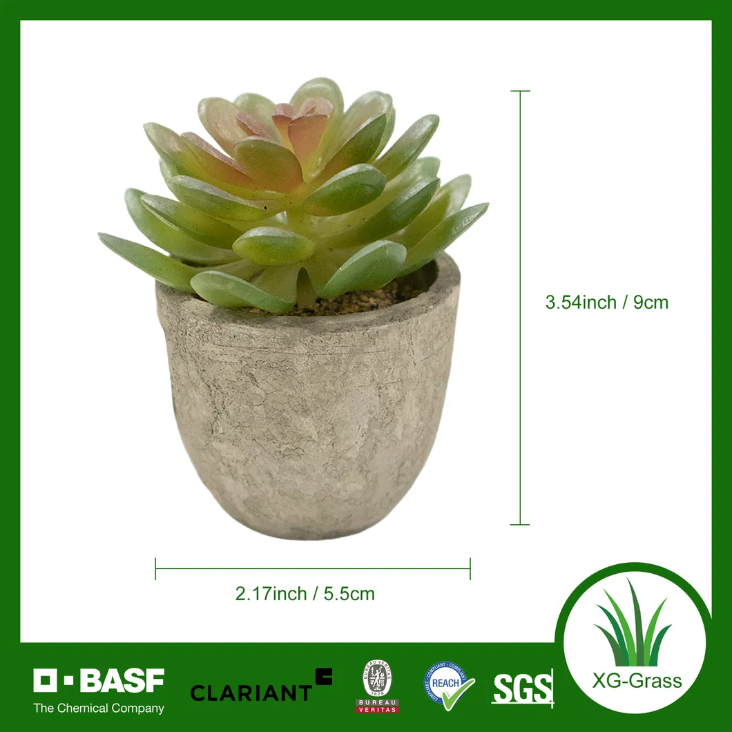 Lifelike Mini Succulent Art 1