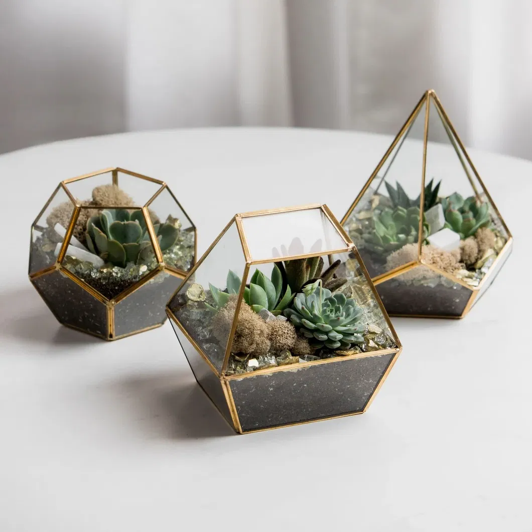 Terrarium Arrangement 2