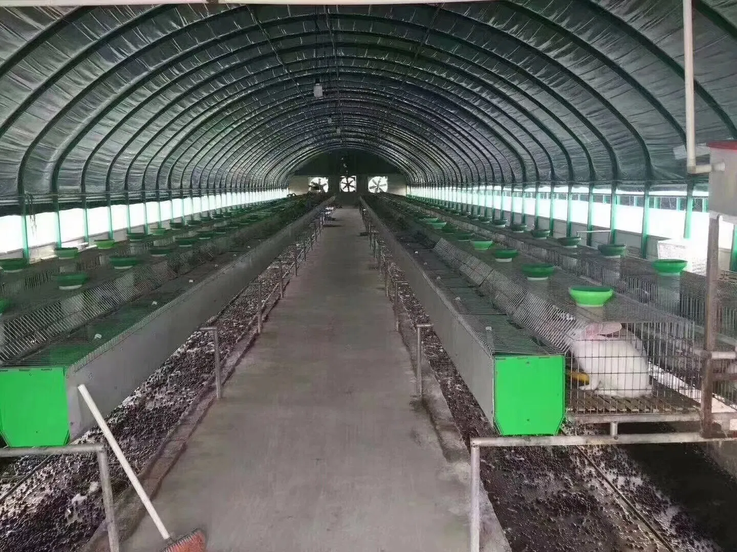 Greenhouse Mutispan Auto Control Light Deprivation Green House for Medicine Herb