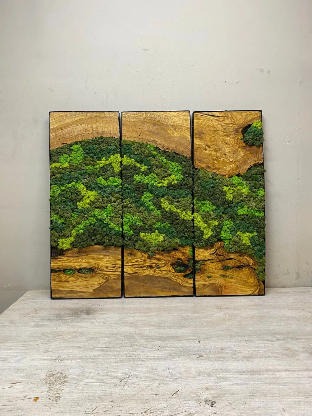 Moss Olive Wall Decor, Moss Wall Art, Moss Wall Sets, Preserved Moss Art Framed, Personalized Gifts, Moss No Maintenance Required Moss