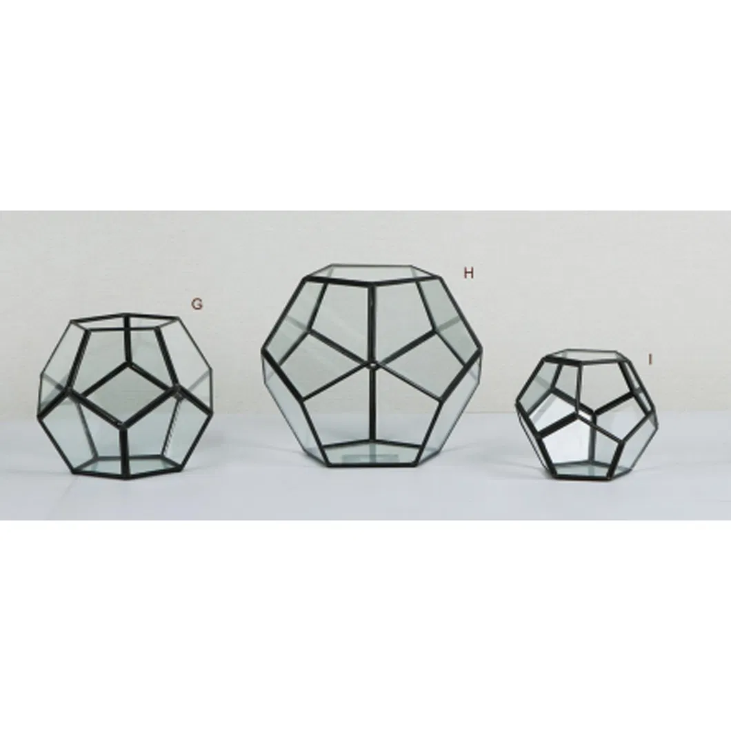 Glass Plant Terrarium 3