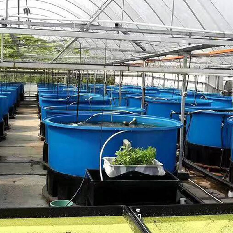 Rooftop Farm Nft Hydroponic System for Urban Sustainable Food Production