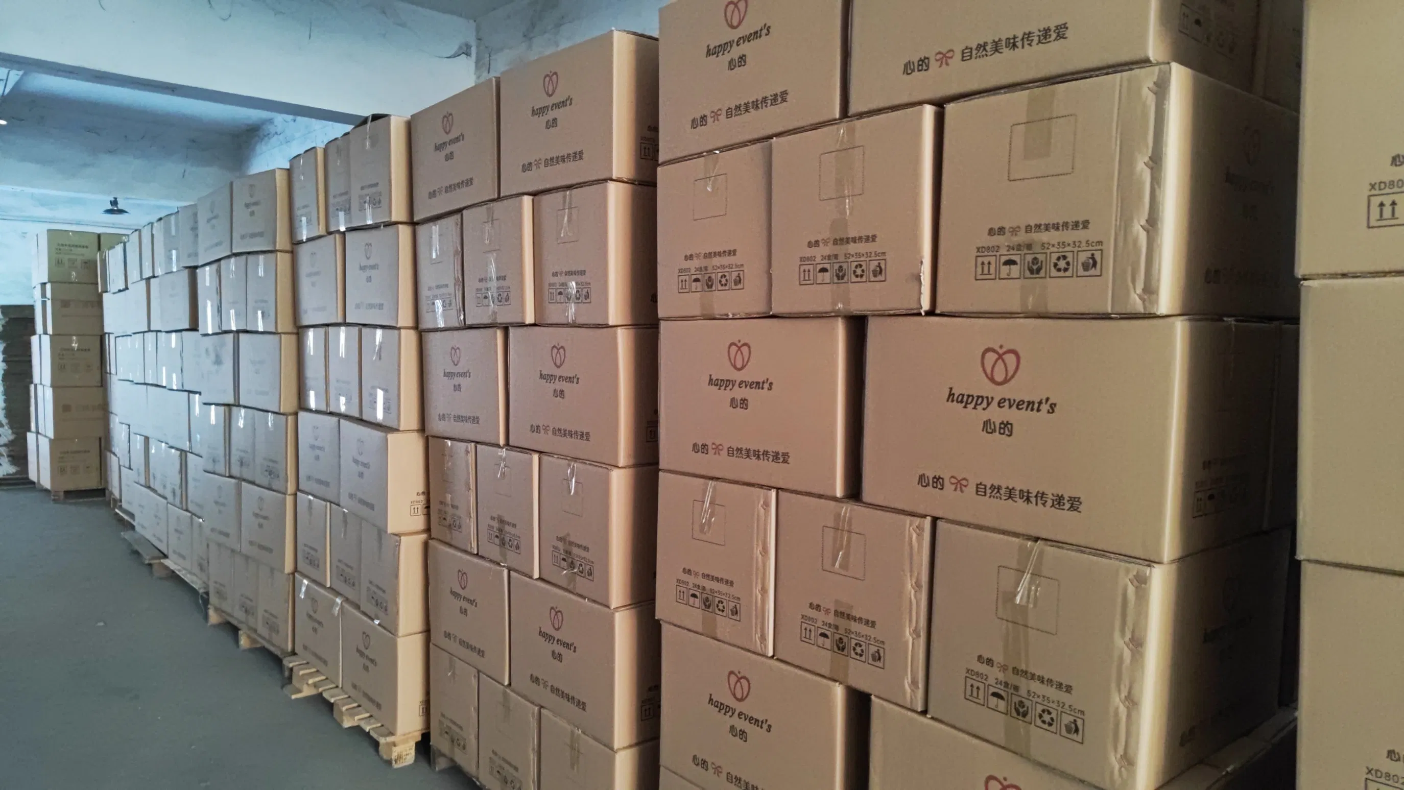 Wholesale Rectangular Tinplate Boxes for Safe Pet Packaging