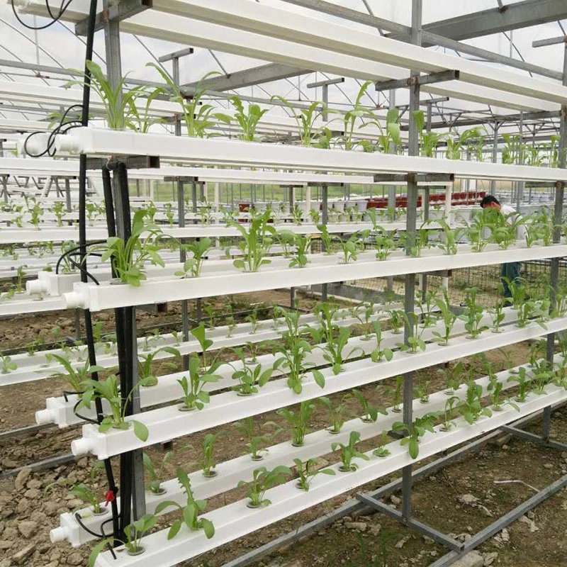 Agriculture Vertical Hydroponics Systems Farm Agriculture Nft Hydroponic Channel